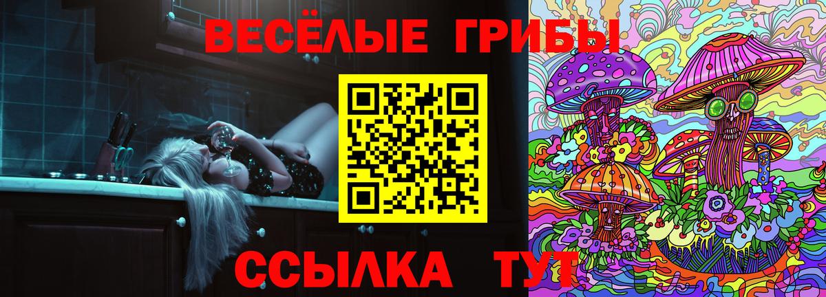 Псилоцибиновые грибы Magic Shrooms  Вход с VPN  Северобайкальск  Псилоцибиновые грибы ЛСД 