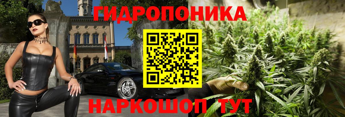 Конопля White Widow  Шишки марихуана White Widow  Северобайкальск  Марихуана конопля  Вход с VPN 